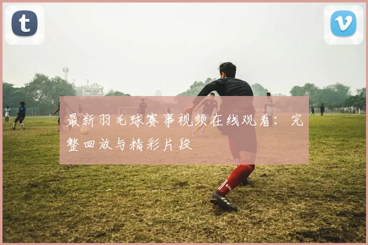 最新羽毛球赛事视频在线观看:完整回放与精彩片段